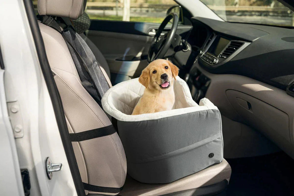 Dog Car Booster Seat