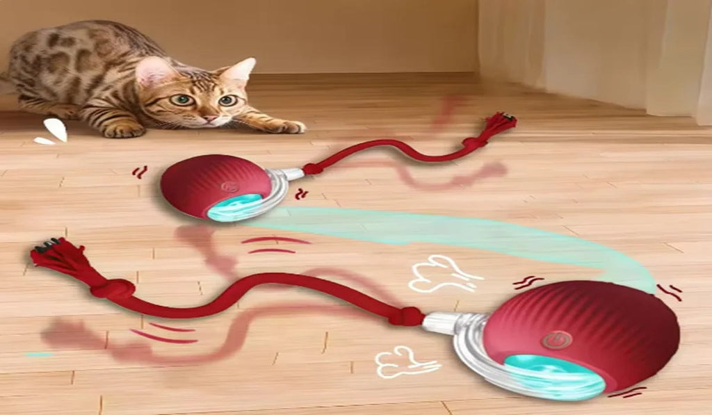 Interactive Cat Toy Ball for Playful Indoor Cats
