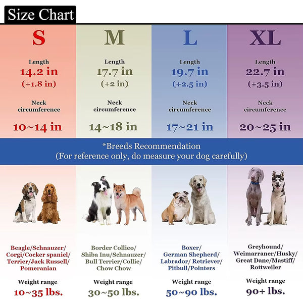 Dog Choke Collar Pet Zela